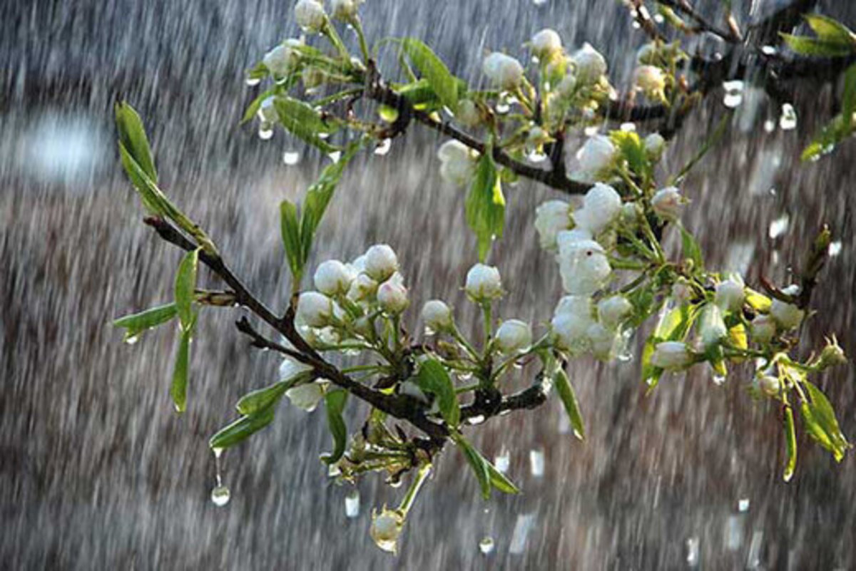 بارش باران در راه آذربایجان‌شرقی
