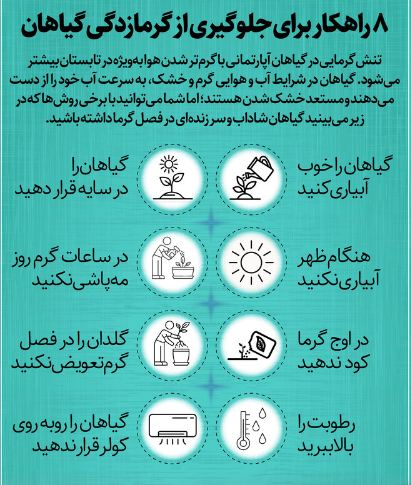 چند راهکار ساده برای جلوگیری از گرمازدگی گیاهان  در تابستان