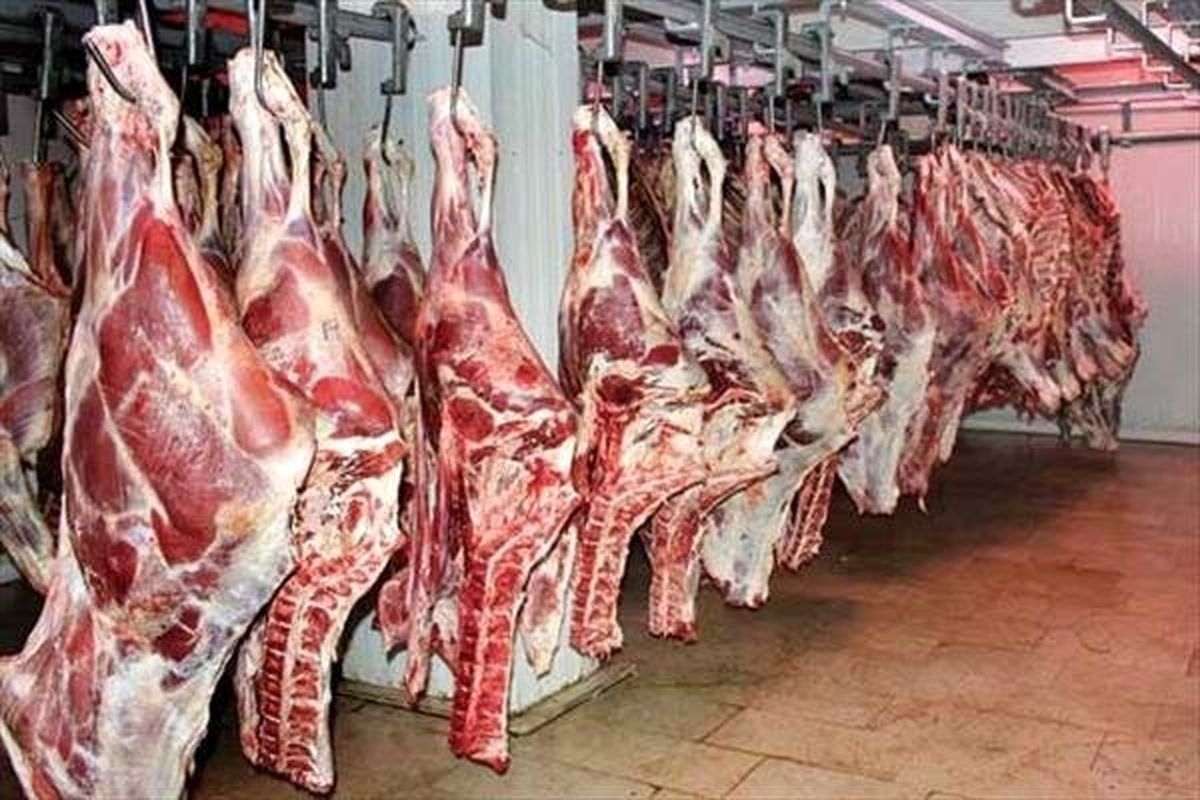 روند کاهش قیمت گوشت قرمز و دام زنده ادامه دارد