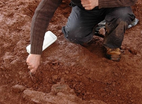 کشف ارابه دفن شده با قدمت ۲۰۰۰ سال برای اولین بار در جنوب بریتانیا