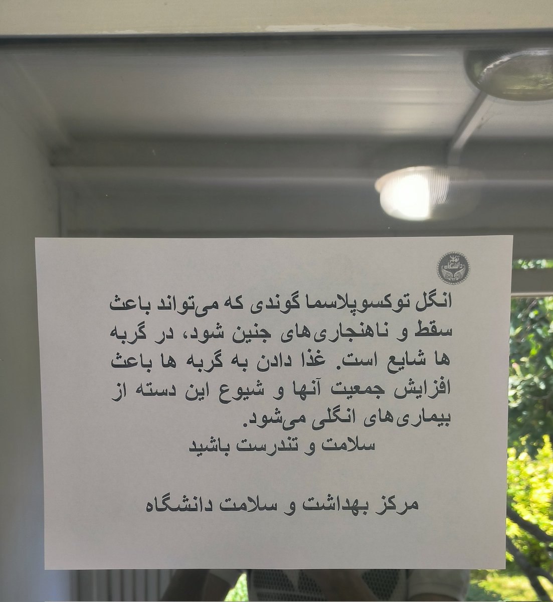 دانشگاه تهران به گربه‌ها هم رحم نکرد