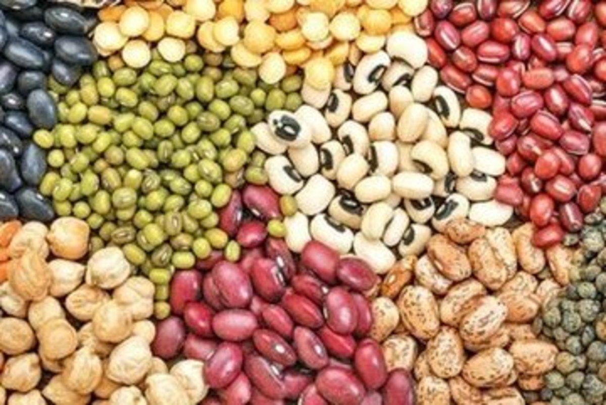 لوبیا در حکم یک سیخ کباب شد + جدول