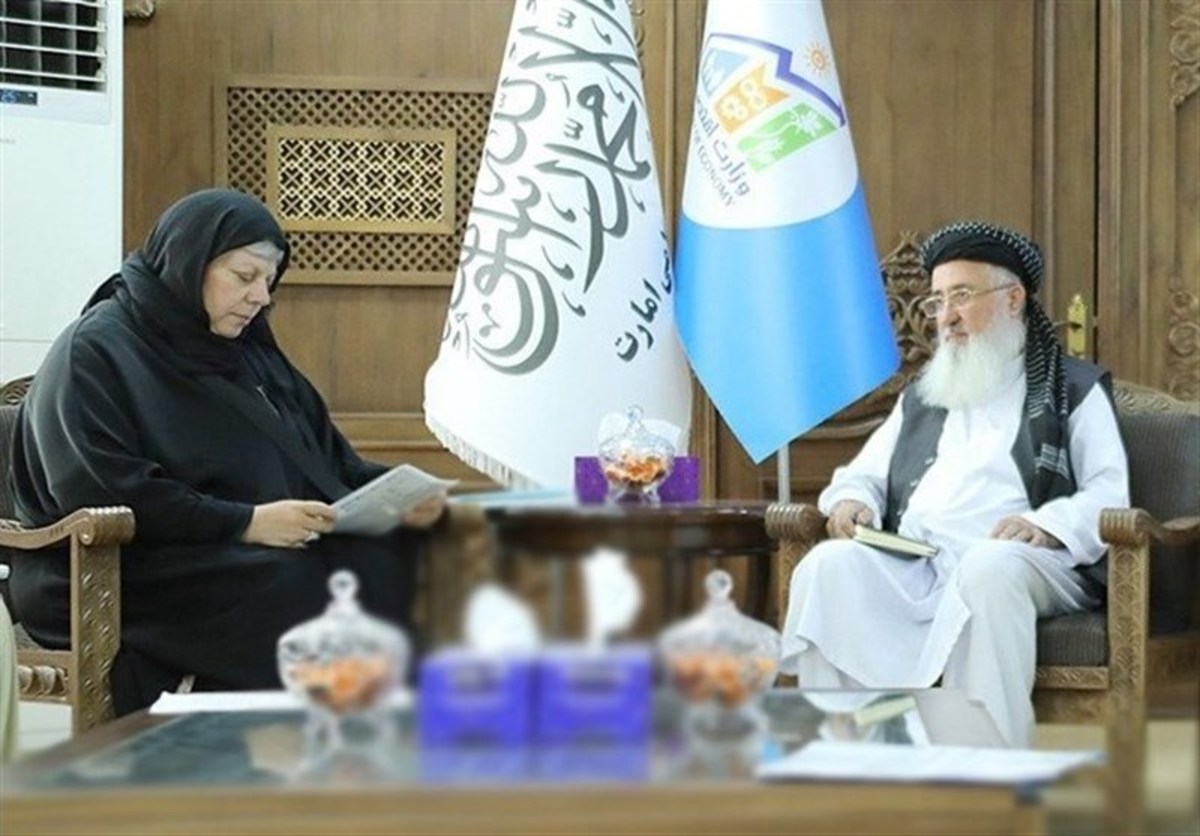 افغانستان خواستار افزایش همکاری‌های توسعه‌ای و کمک‌های بشردوستانه سازمان ملل شد