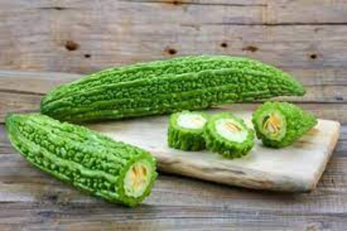 فواید باورنکردنی خیار چنبر تلخ برای سلامتی که شاید نمی‌دانید