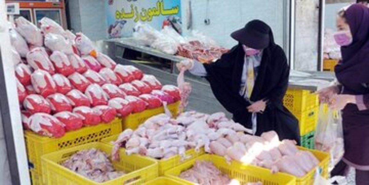 مشکل کمبود مرغ و افزایش قیمت‌ها دغدغه جدی دولت