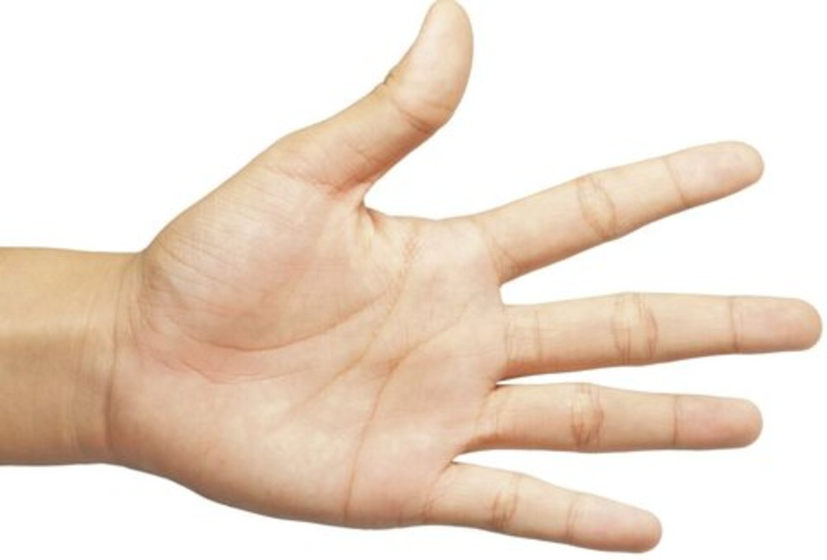 ساخت کیتی که از پوست پس از تماس با گیاهان سمی محافظت می‌کند