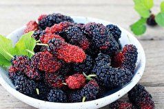 کنترل ضعف و ناتوانی دوران سالمندی با مصرف این میوه ها
