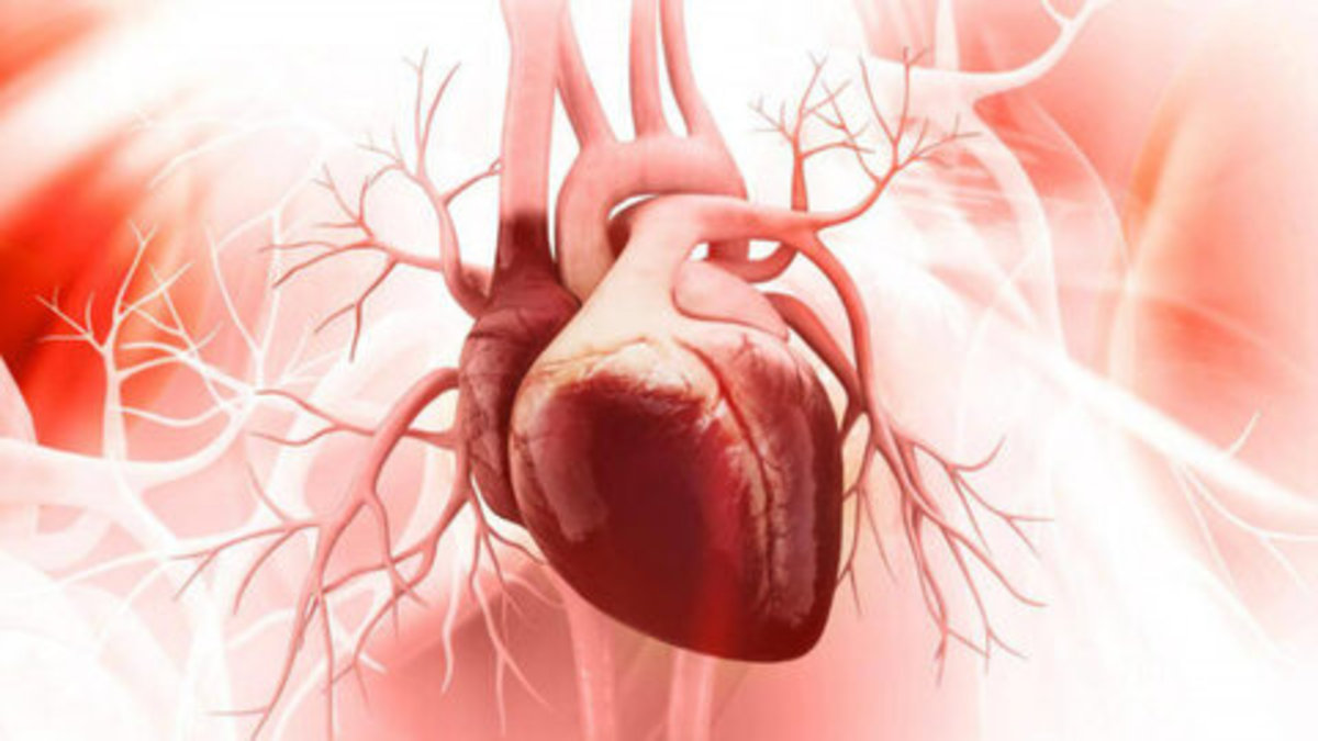 چرخه قاعدگی نامنظم یکی عاملین بیماری قلبی