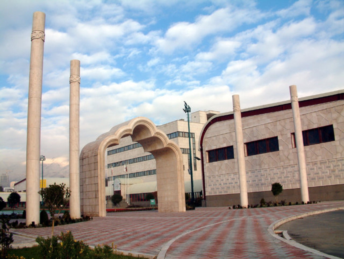 رئیس آکادمی ملی المپیک مشخص شد
