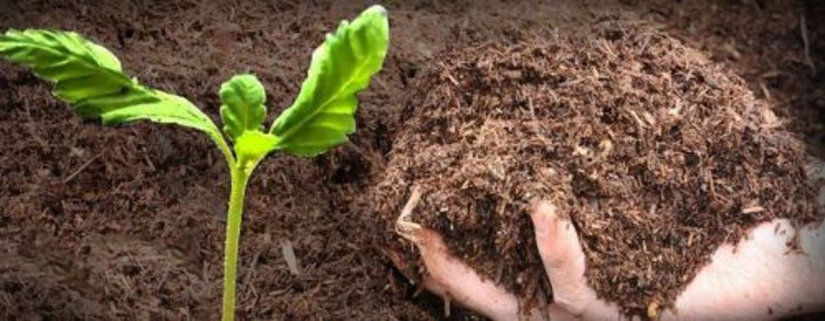 چه عاملی باعث بالا بودن اورانیوم در آب‌های زیر زمینی می‌شود؟