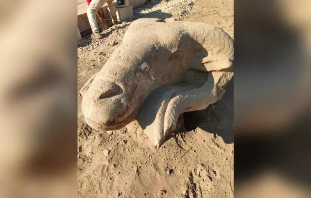 سر افتاده سه قوچ در خیابان‌های مصر