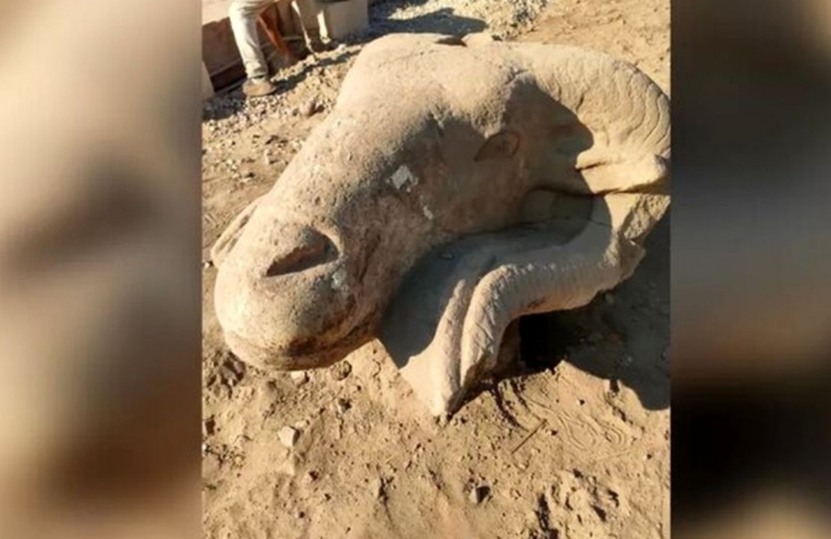 سر افتاده سه قوچ در خیابان‌های مصر