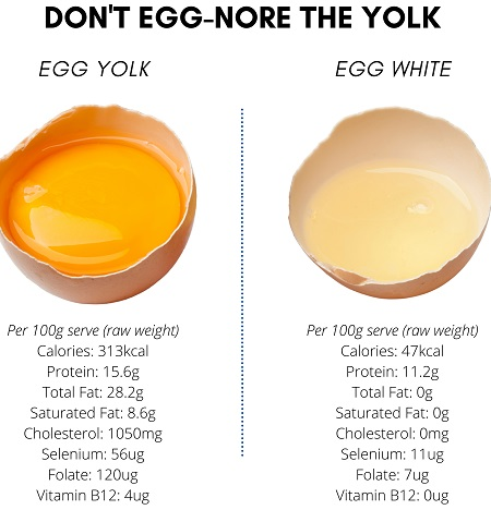 از این همه خواص در زرده تخم مرغ حیرت زده می‌شوید!