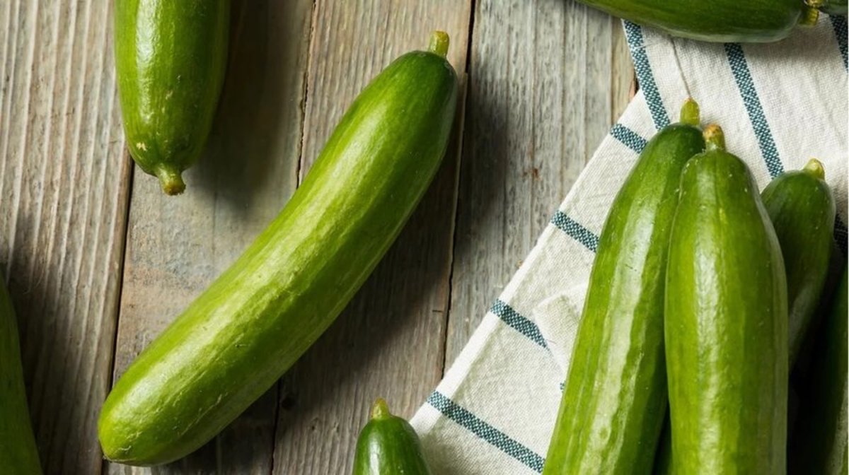 ۱۹ درصد از آب مصرفی یک بزرگسال معمولاً از غذا‌های غنی از آب تأمین می‌شود