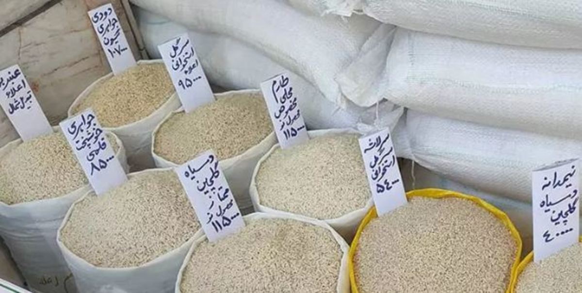 ممنوعیت واردات برنج پایدار خواهد بود