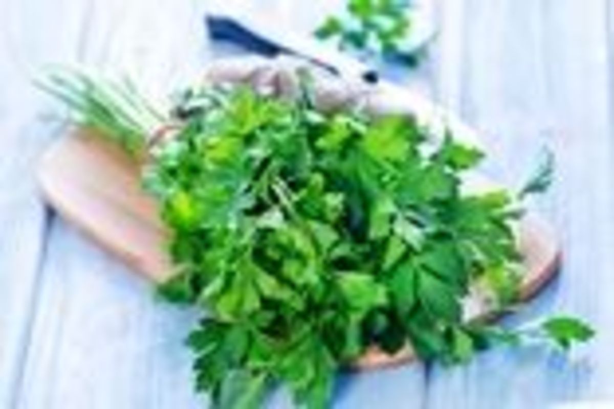 فواید باور نکردنی جعفری برای سلامتی بدن