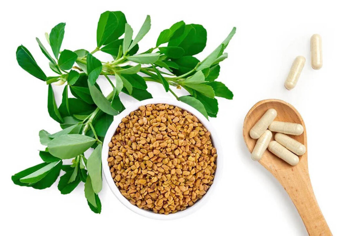 بهترین راه مصرف شنبلیله+فواید