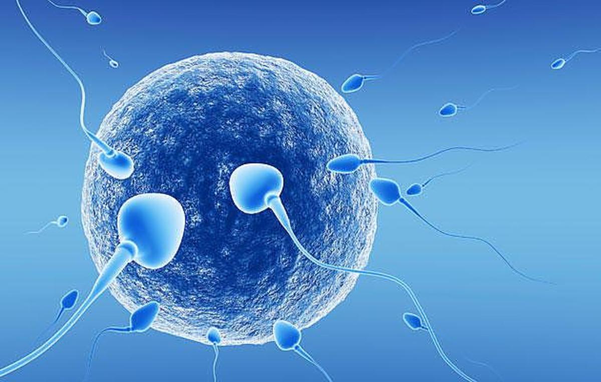 آیا می‌دانید علائم و علت اصلی عدم تخمک‌گذاری چیست؟