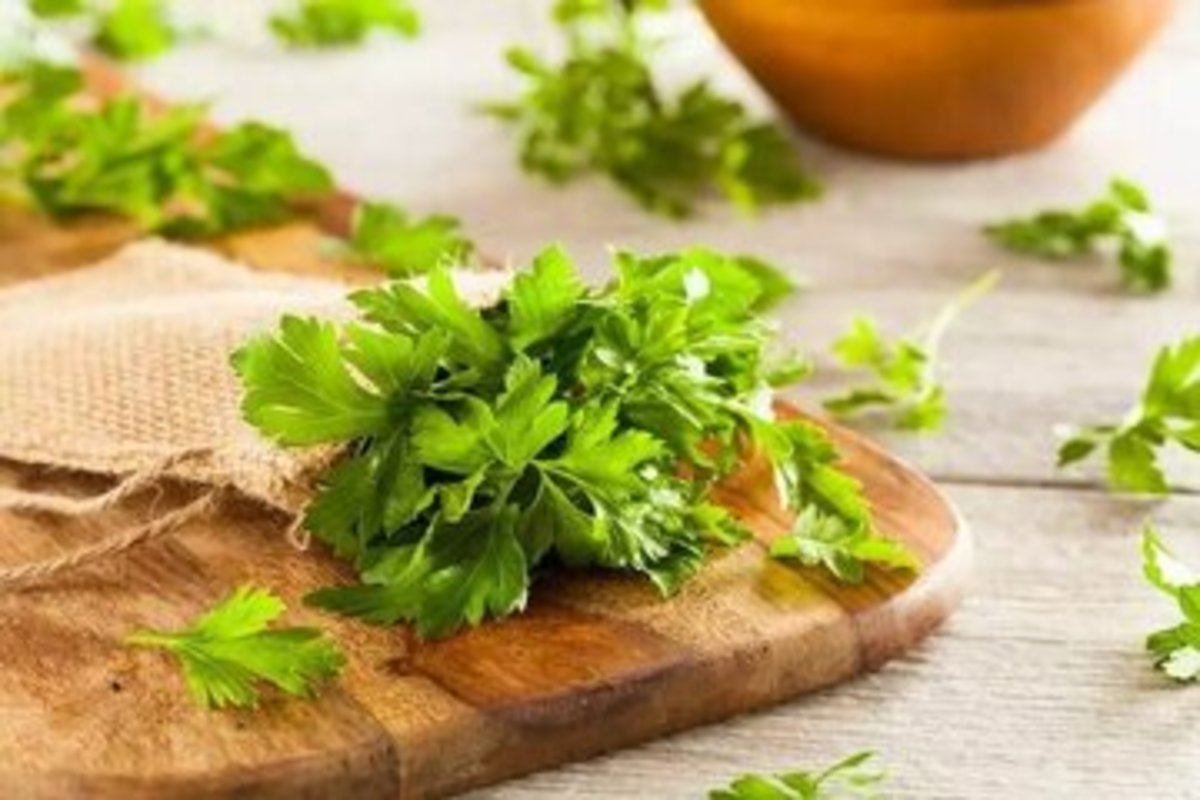 جعفری معجزه ایی برای پاکسازی بدن و تقویت استخوان‌ها و سیستم ایمنی