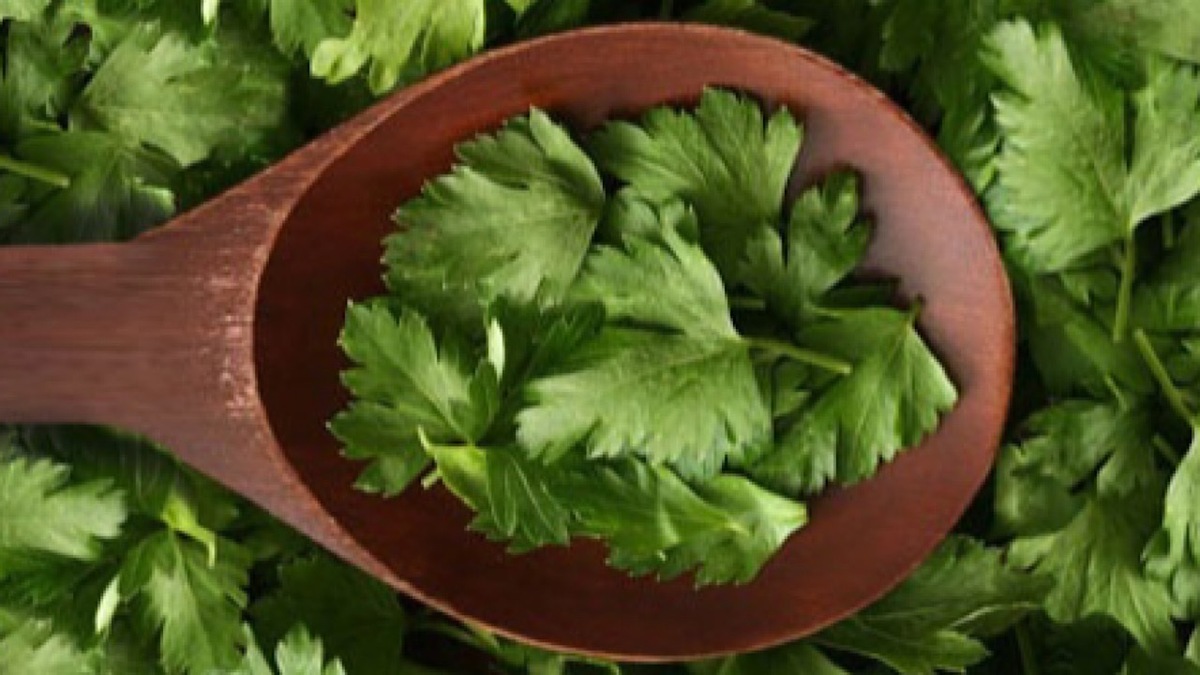 جعفری و پیشگیری از سنگ کلیه