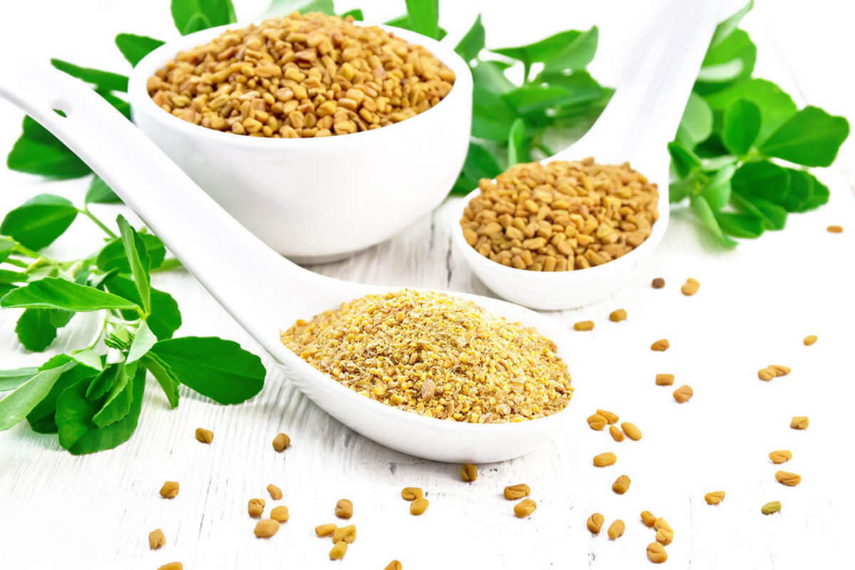 عصاره خشک بذر شنبلیله قندخون را کاهش میدهد!