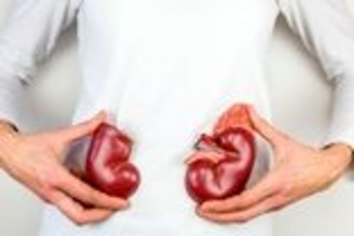تاثیر رژیم غذایی روی سنگ کلیه