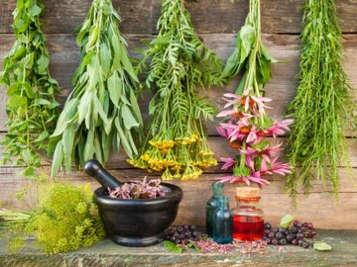 چند گیاه جادویی برای بهبود سلامت کبد