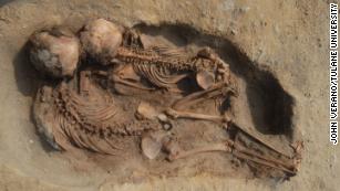 سرگذشت مبهم قدیمی‌ترین انسان اولیه اروپا/جمجمه مرد در کنار فسیل خرس