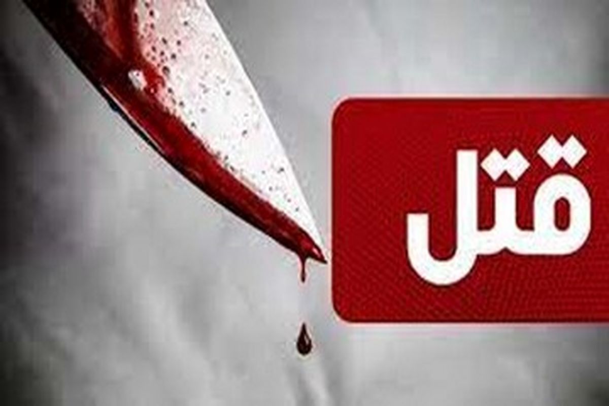 قتل پسر به دست پدر/ضربه شیء به سر عامل مرگ شد