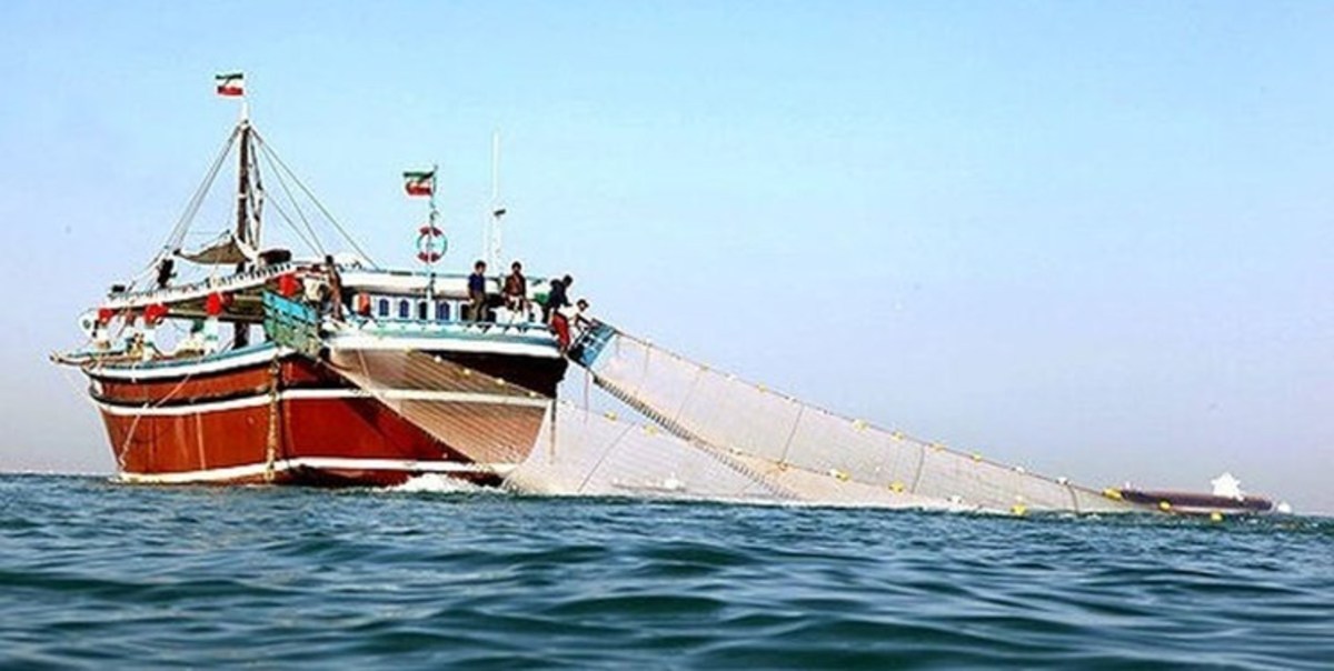 صید ماهی حلوا سفید در صیدگاه‌های خوزستان و بوشهر آغاز شد