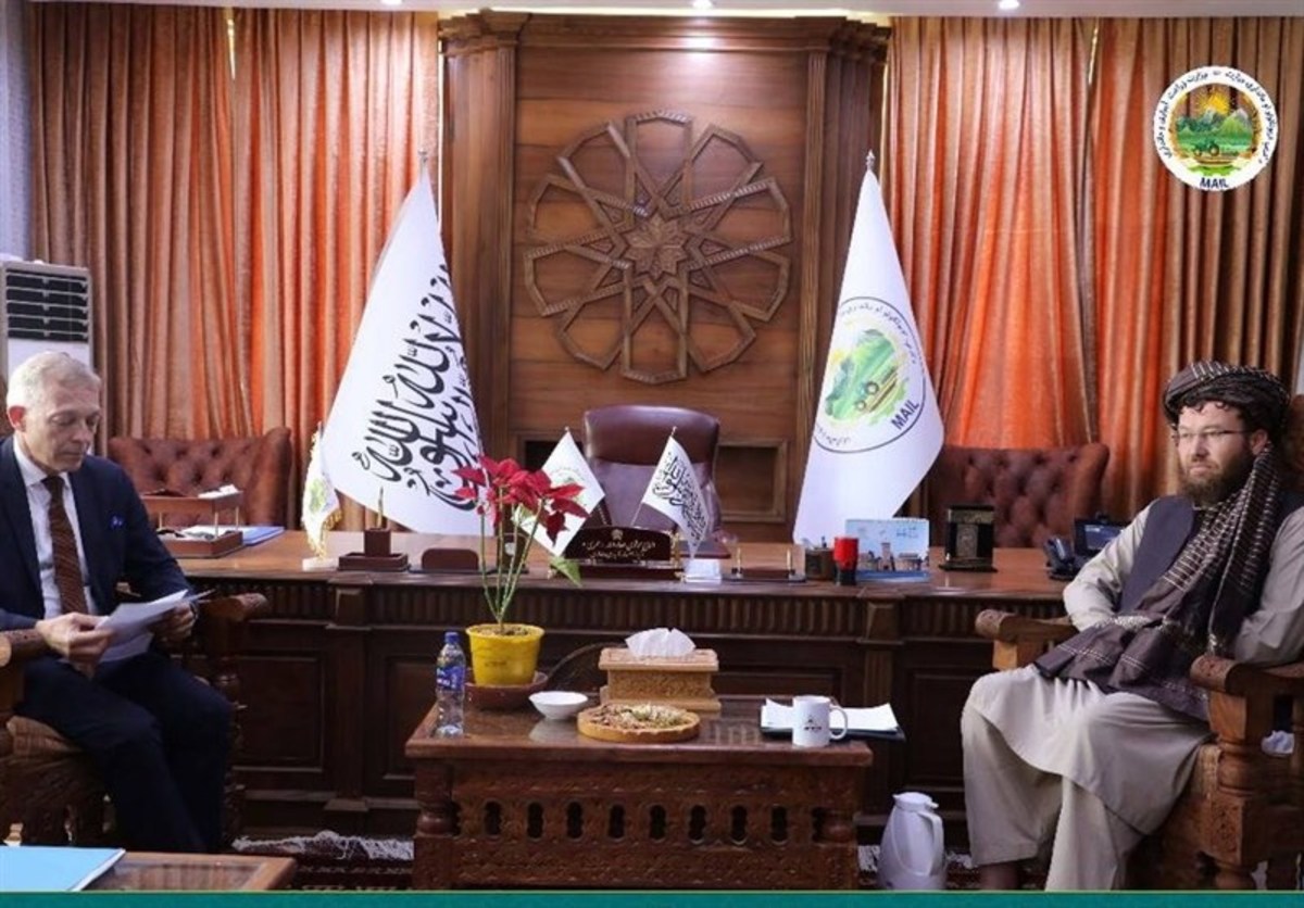 طالبان: کارکنان سازمان ملل بدون هیچ هراسی در افغانستان فعالیت کنند