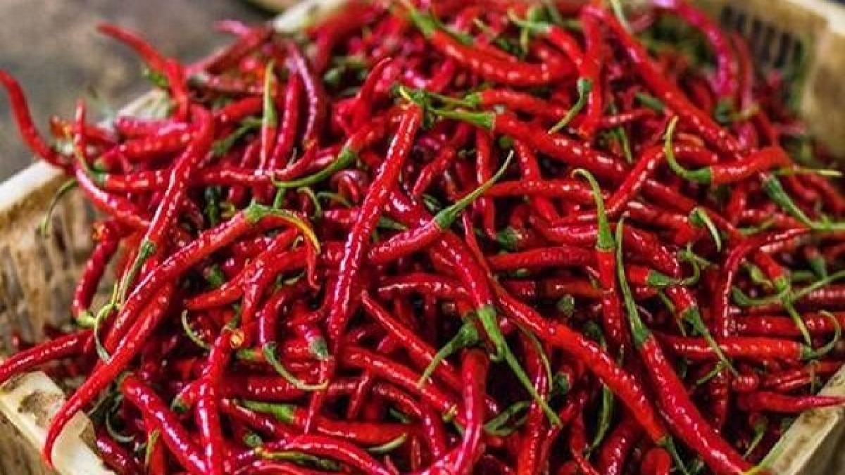 این ماده موجود در فلفل قرمز باعث کاهش وزن میشود