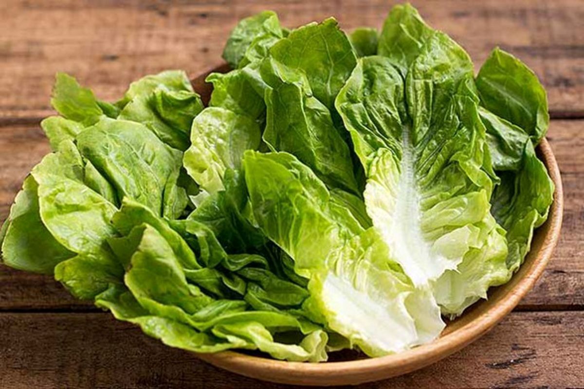 کـاهو بـرای تـسکین التهـاب معـده و روده کوچـک