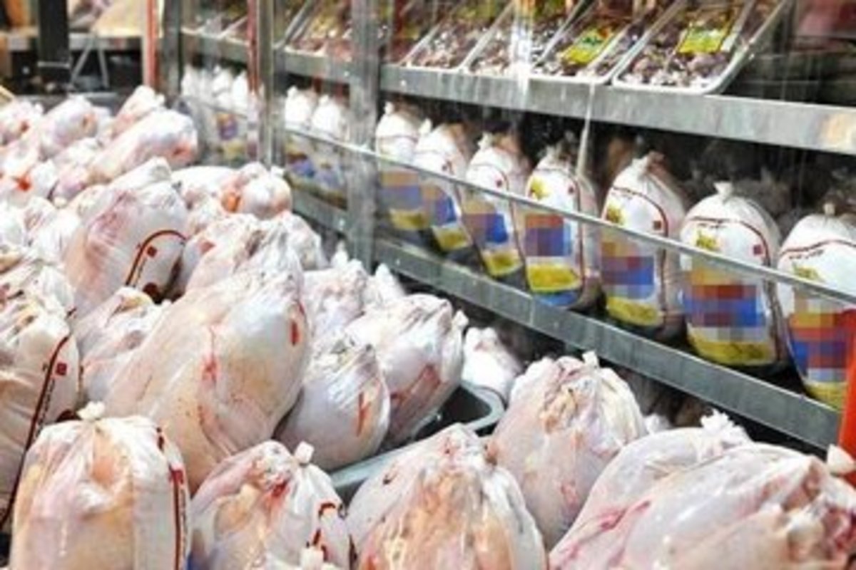 دلیل پرواز این روزهای قیمت مرغ از کجاست؟ وعده ارزانی درست است؟