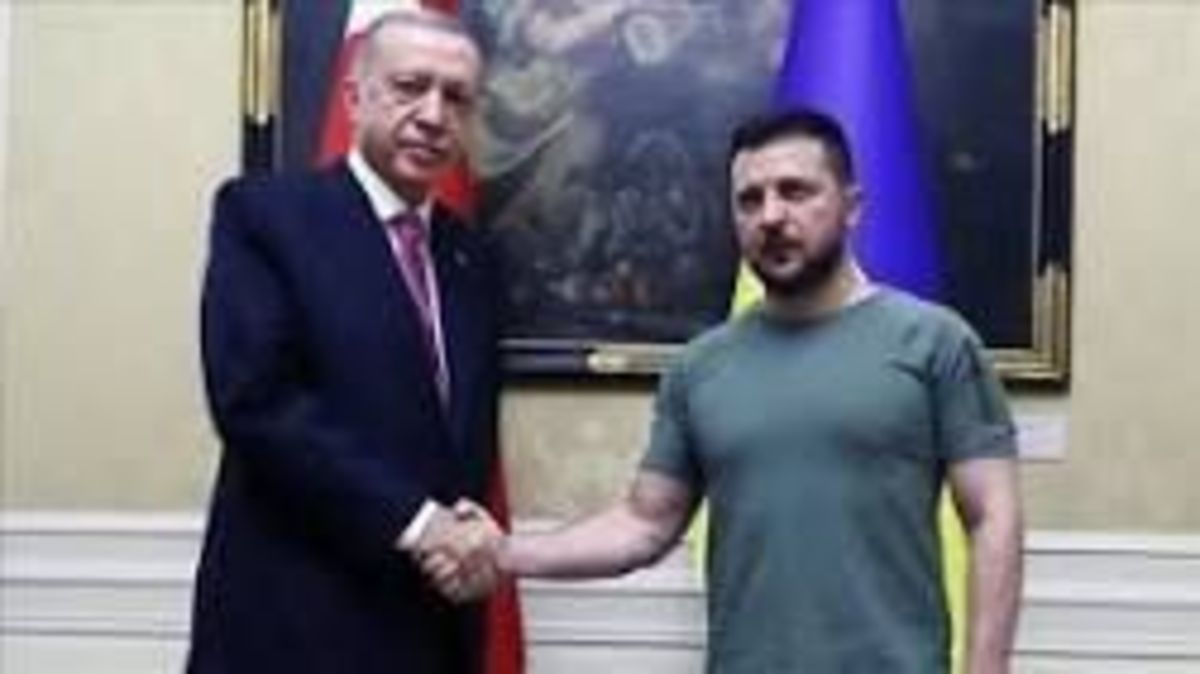 اردوغان و زلنسکی درباره تمدید توافق صادرات غلات گفتگو کردند