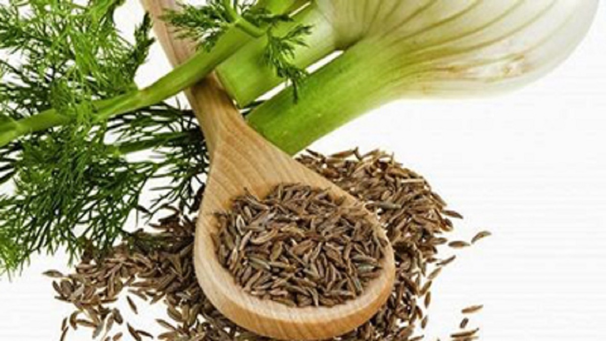 زیاده‌روی در مصرف رازیانـه معده را سست می‌کند