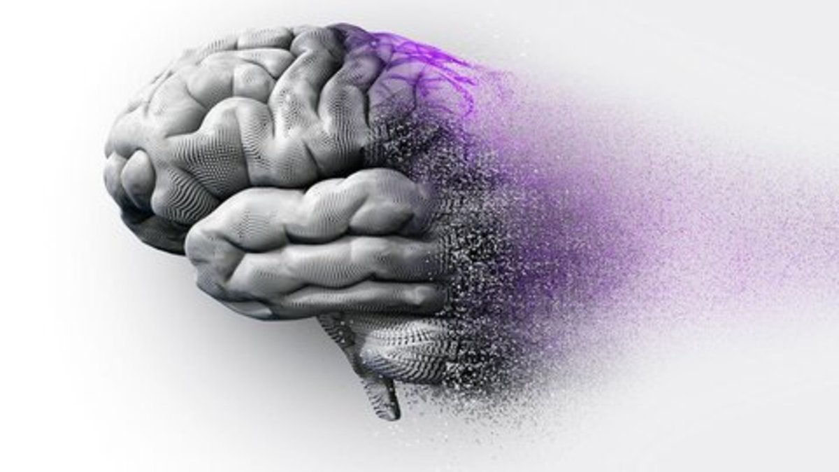 چرا علائم زوال عقل در فصل تابستان بیشتر میشود؟