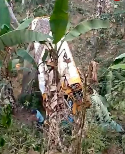 زنبوران قاتل کابوس مسافران یک اتوبوس شدند
