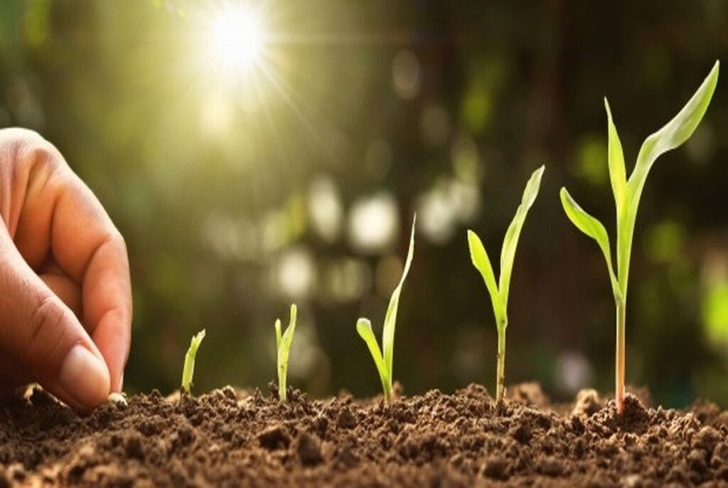 ۳ گام بنیادی و مطمئن برای دستیابی به اهداف
