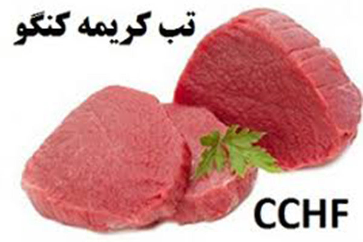 از خرید گوشت از مراکز غیربهداشتی خودداری کنید!