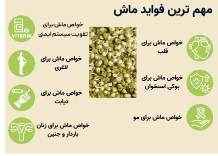 فواید باورنکردنی ماش که شاید نمی‌دانید
