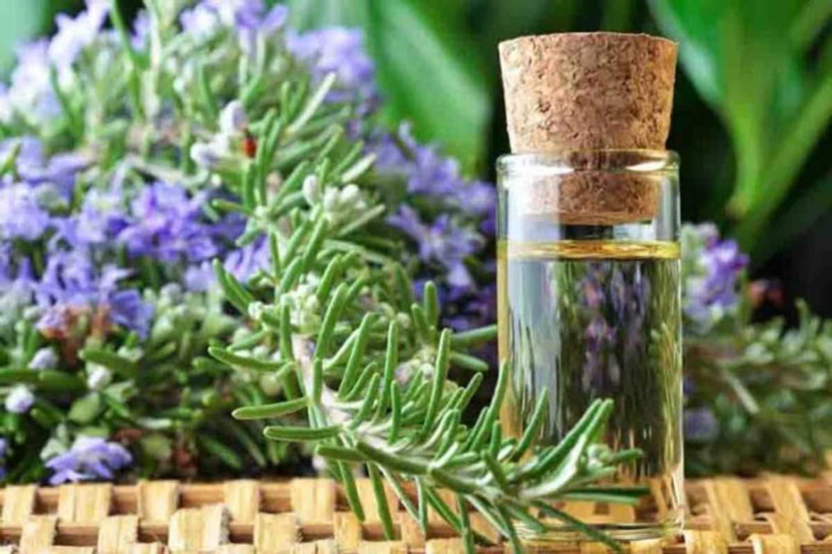 رزماری معجزه ایی برای تقویت و جلوگیری از ریزش مو +طرز تهیه اسپری جادویی