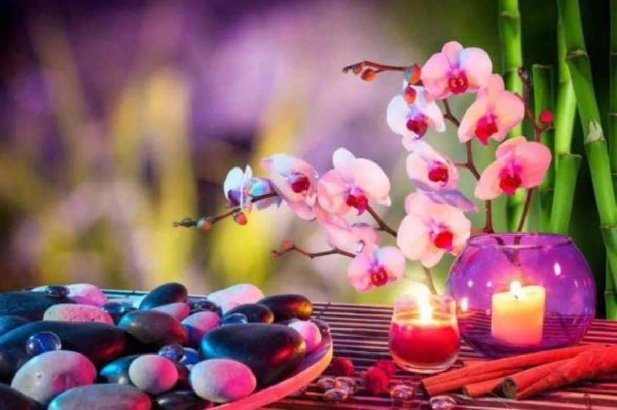چند راهکار ساده برای پاکسازی محل زندگی به سبک علم فنگ شویی