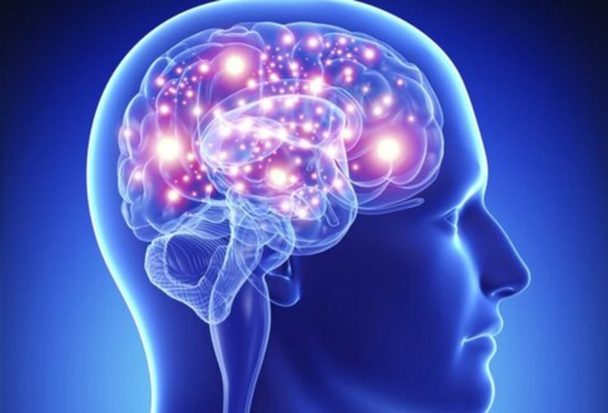 حافظه انسان چند گیگ حافظه دارد؟