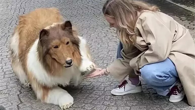 .
