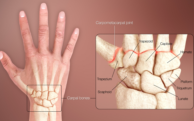 تقویت عضلات مچ دست تنها با چند حرکت ساده