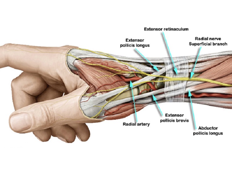 تقویت عضلات مچ دست تنها با چند حرکت ساده