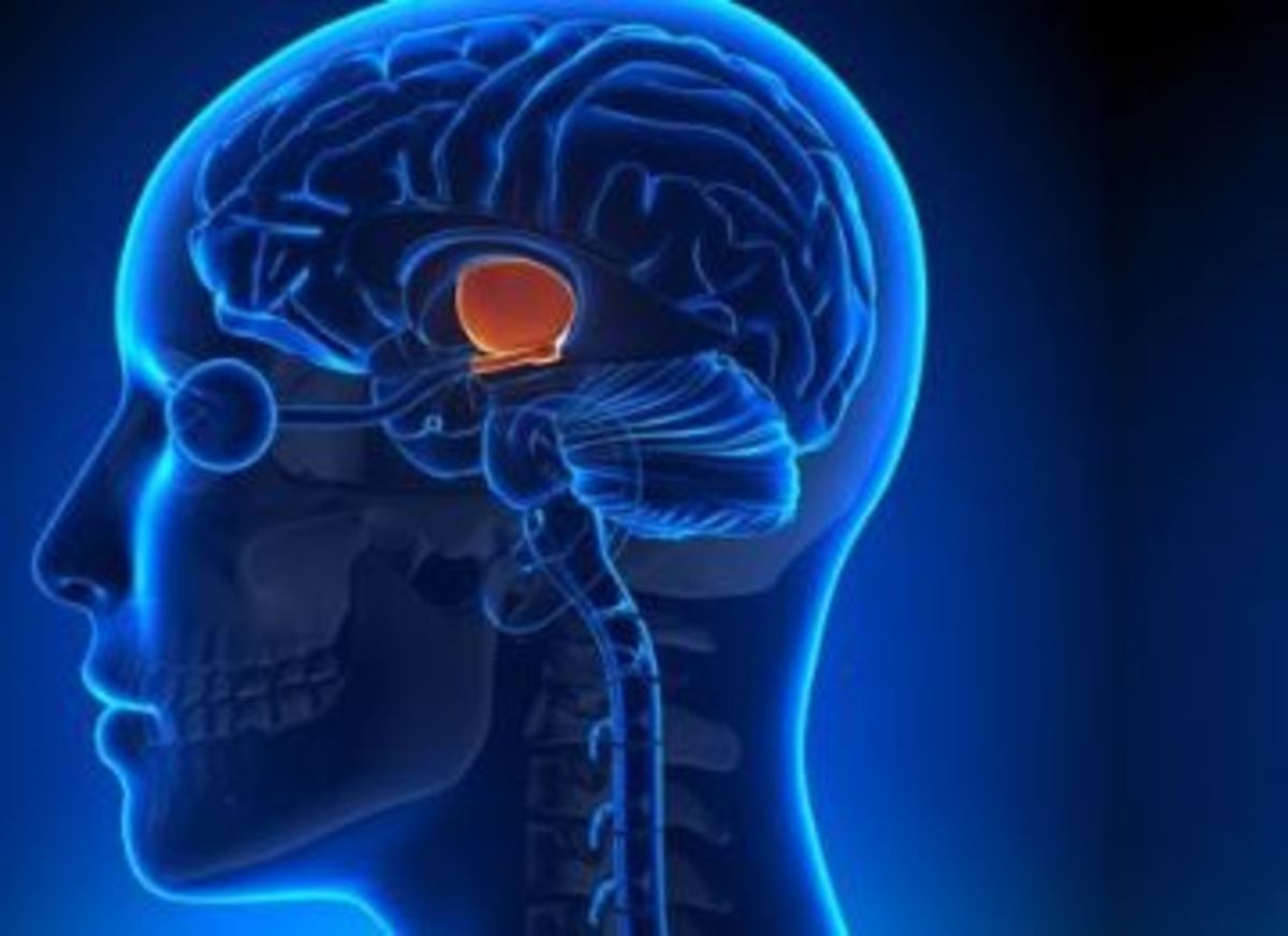 آیا می‌دانید علائم و روش تشخیص مننژیوم چیست؟
