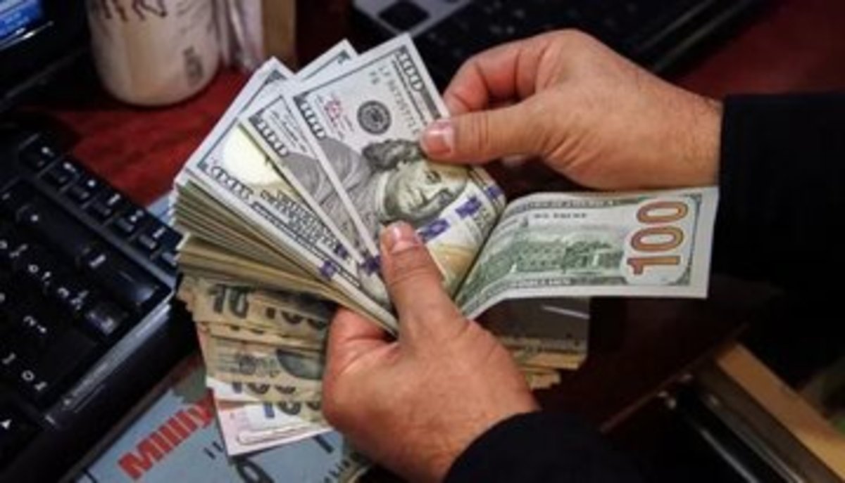 رشد نقدینگی و ناترازی نظام بانکی دلیل افزایش قیمت دلار