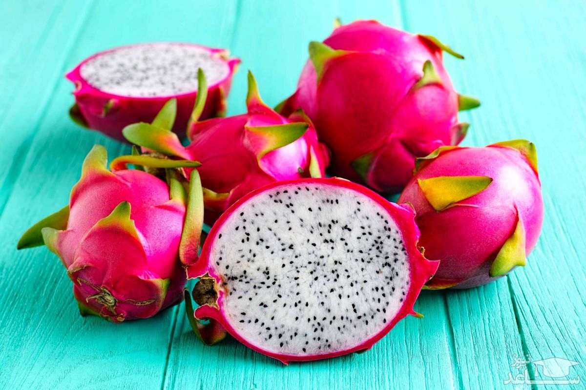 میوه کاکتوس و خواص بی نظیرش